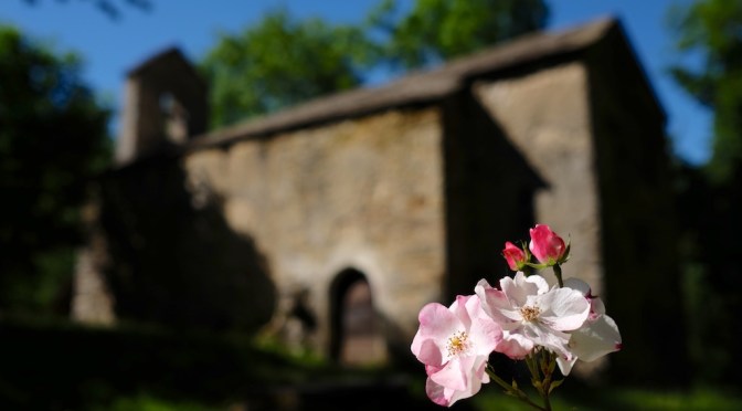 L&rsquo;été 2016 à Saint-Clair de Verdun
