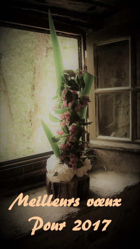 voeux2017
