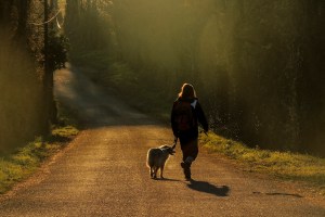 Sur les chemins-Vers la lumière